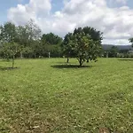 A Casa Da Bisavoa * סנשנשו