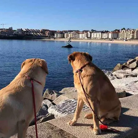A Casa Da Bisavoa Σπίτι διακοπών Sanxenxo