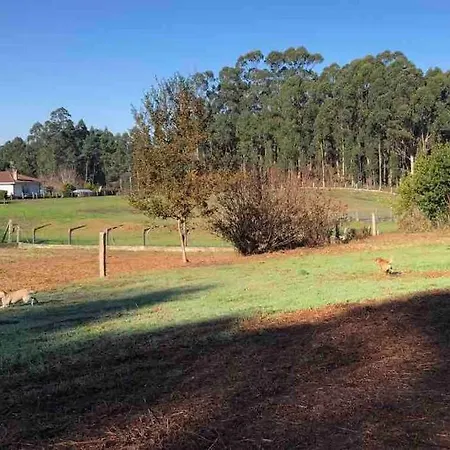 Holiday home A Casa Da Bisavoa