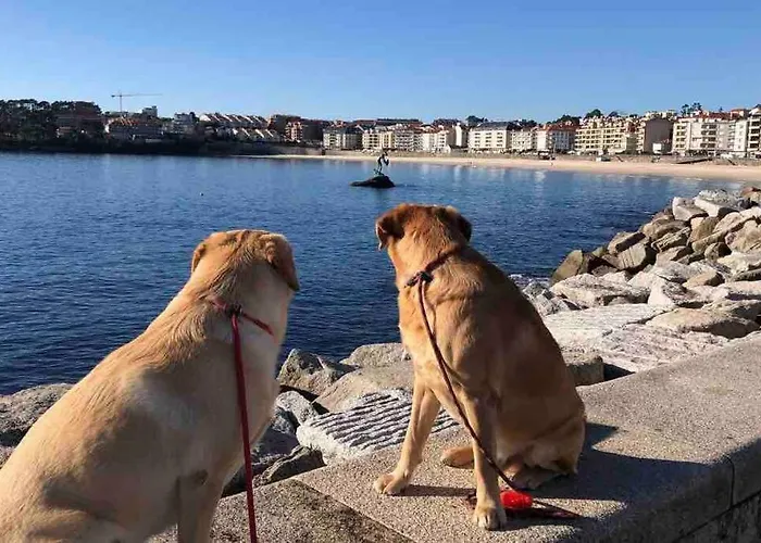 A Casa Da Bisavoa بيت للعطل سانكسينكسو