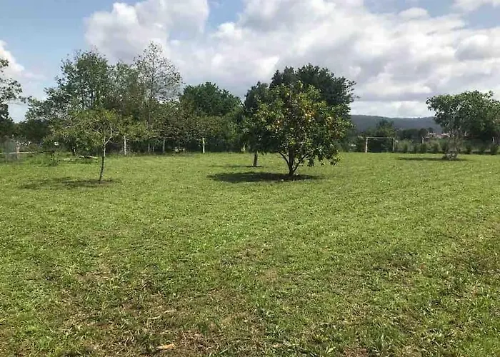 A Casa Da Bisavoa * سانكسينكسو